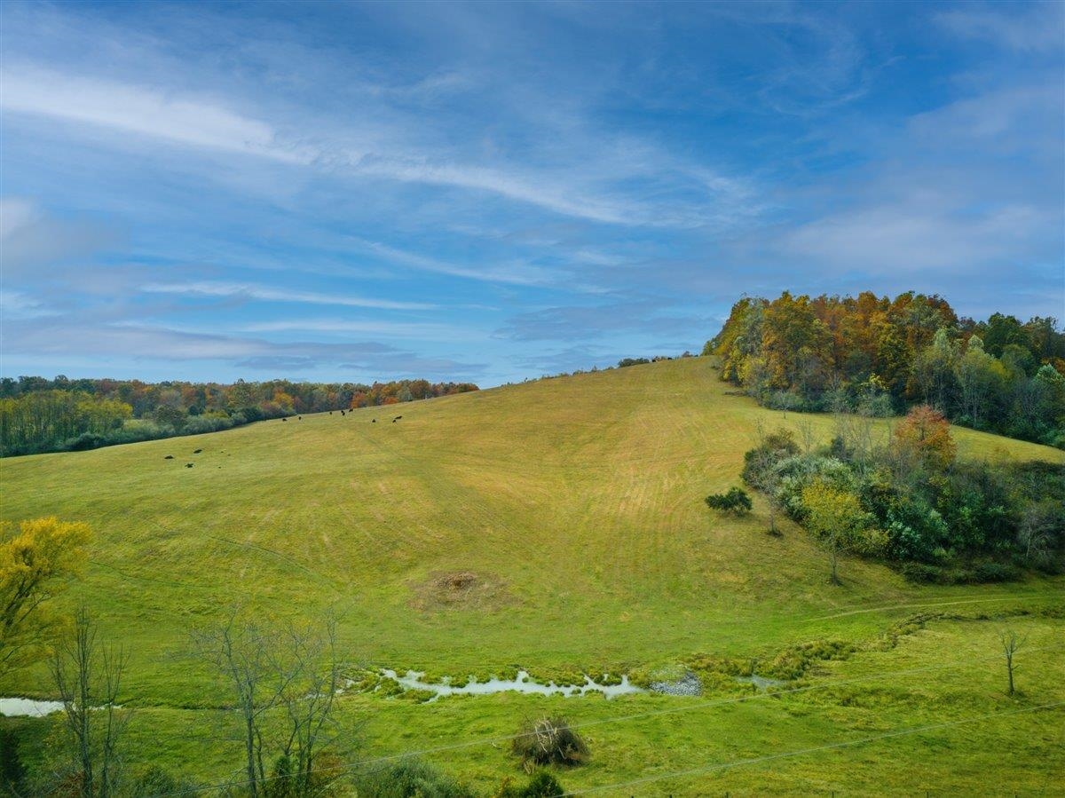 Tbd Tbd Old B And O Road Raphine, VA 24472 - Photo 3 of 36