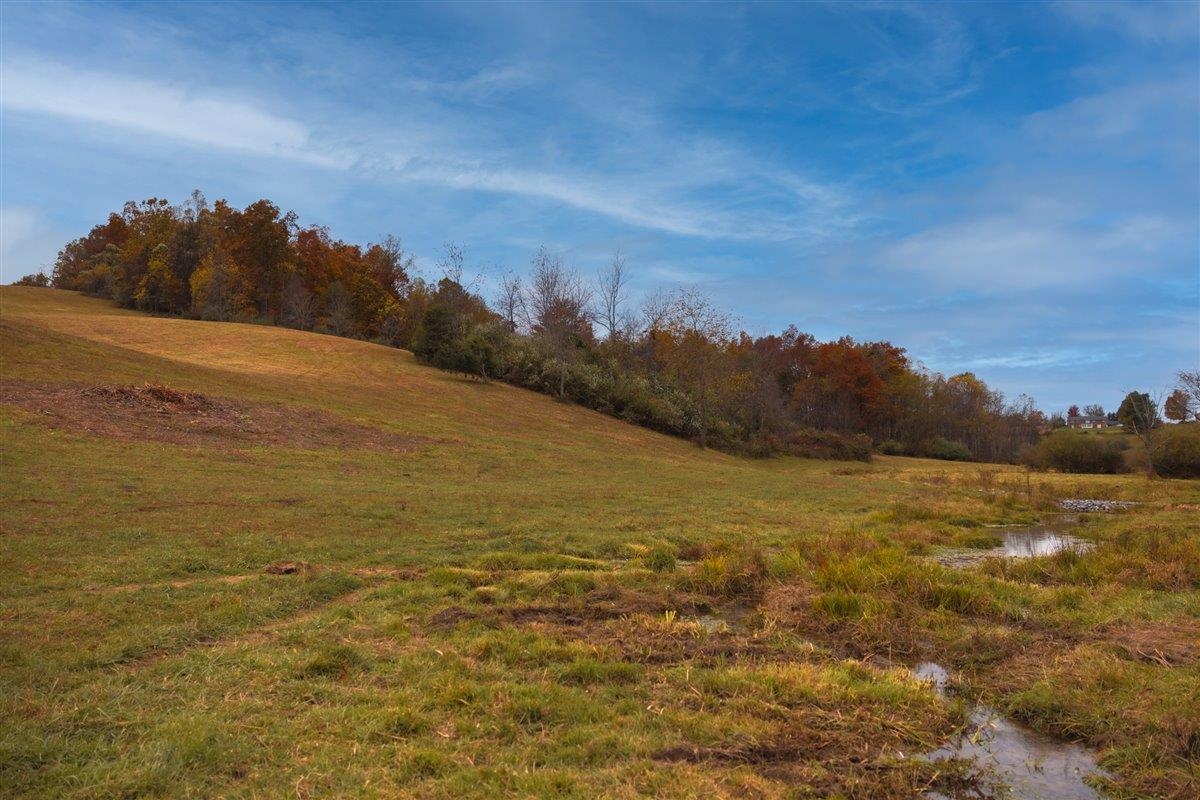 Tbd Tbd Old B And O Road Raphine, VA 24472 - Photo 31 of 36