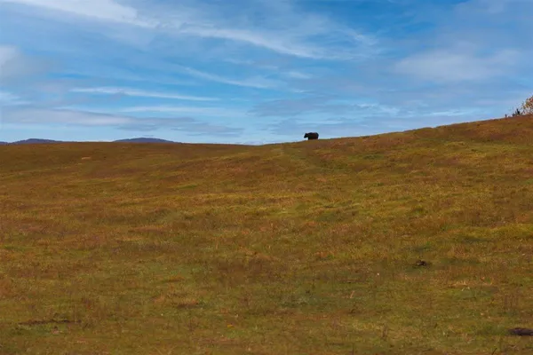 $879,000 | Tbd Tbd Old B And O Road, Raphine, VA 24472