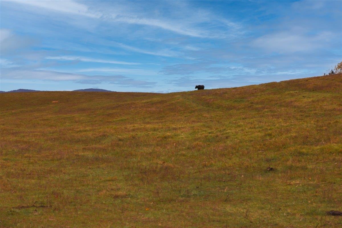 Tbd Tbd Old B And O Road Raphine, VA 24472 - Photo 32 of 36