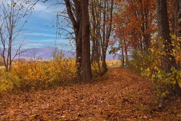 $879,000 | Tbd Tbd Old B And O Road, Raphine, VA 24472