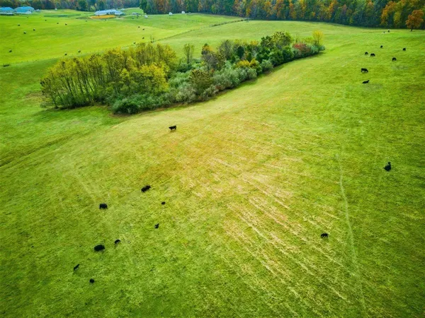 $879,000 | Tbd Tbd Old B And O Road, Raphine, VA 24472