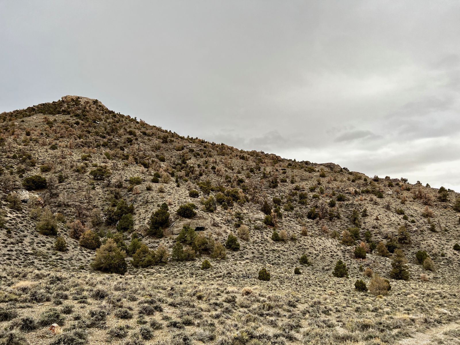Na Ridge Montello, NV 89830 - Photo 3 of 25