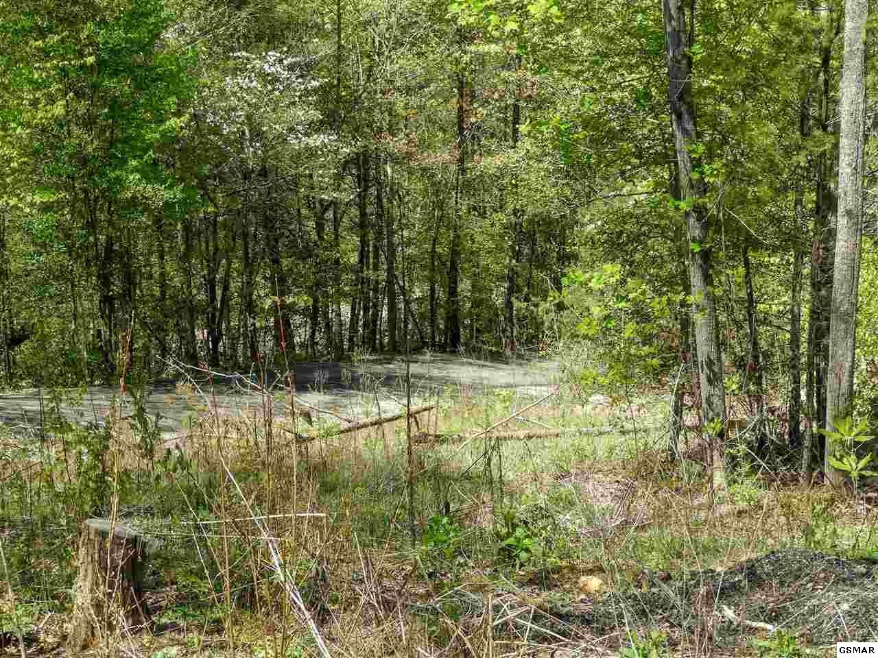 7 Old Birds Creek Road Sevierville, TN 37876 - Photo 13 of 15