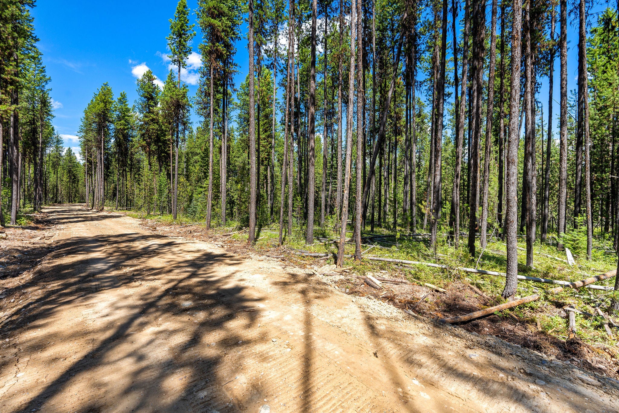 11680 North Fork Road Polebridge, MT 59928 - Photo 14 of 37 Gallery Image 14