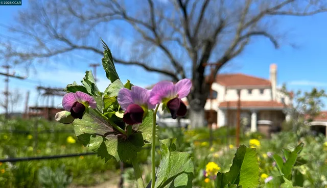 a front view of a building with street view