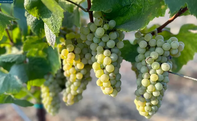a view of entryway with sitting area