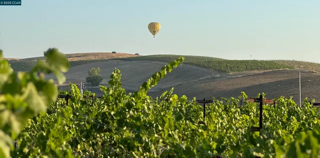a view of swimming pool with a lounge chairs
