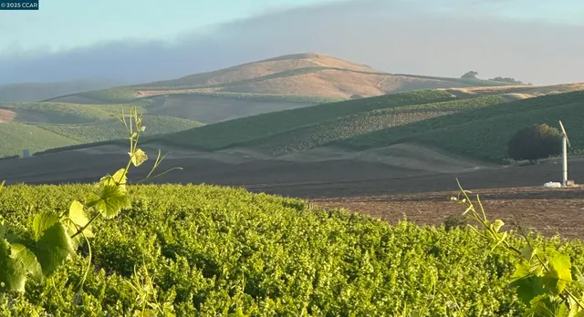 $4,195,000 | 5267 Old Sonoma Road, Napa, CA 94559