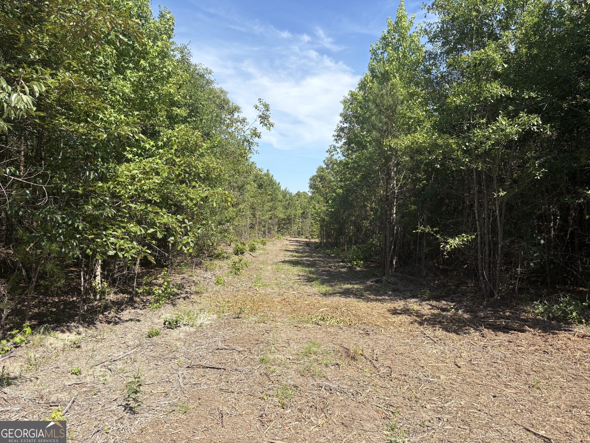 L4 Prosser Road Sandersville, GA 31082 - Photo 6 of 10