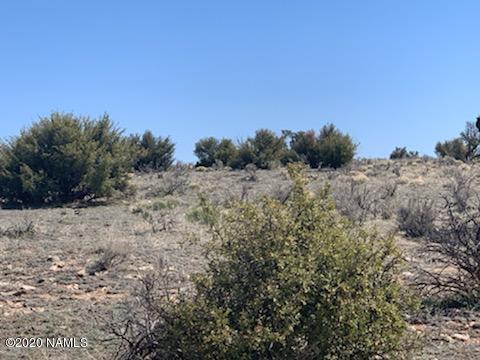 746 East Concho Road Williams, AZ 86046 - Photo 3 of 23 Parcel 2