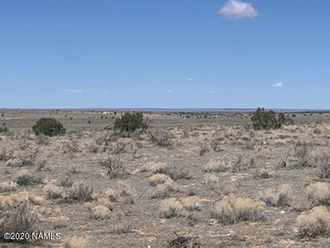 746 East Concho Road Williams, AZ 86046 - Photo 4 of 23 Parcel 3