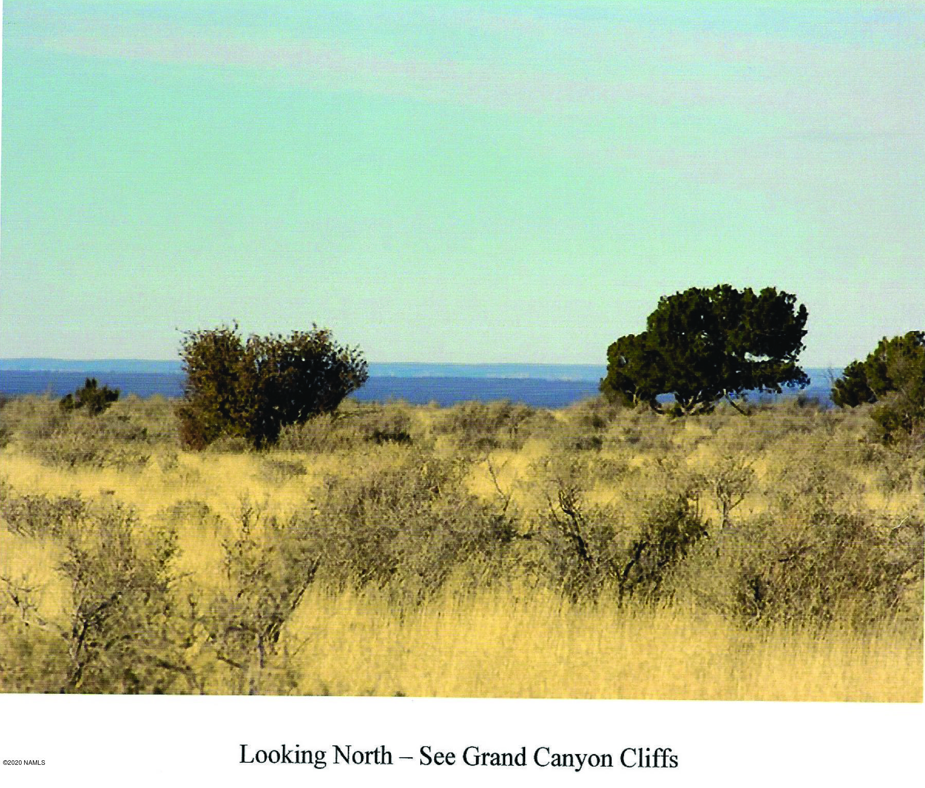 746 East Concho Road Williams, AZ 86046 - Photo 10 of 23 North
