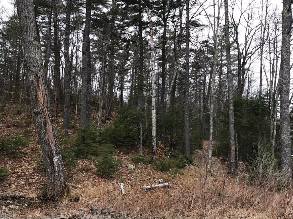 0 Partridge Lane Road Bristol, ME 04539 - Photo 2 of 4 Photo