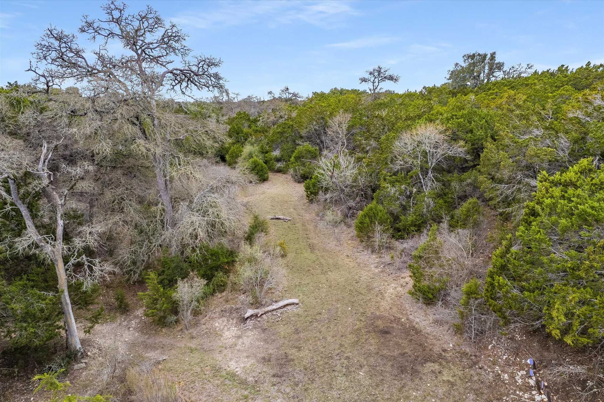 3501 Pursley Road Dripping Springs, TX 78620 - Photo 28 of 38 a view of a forest with trees in the background