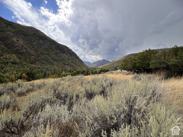 Meadow Drive, Unit 2 Springville, UT 84663 - Photo 8 of 11 Expansive natural landscape with varied terrain