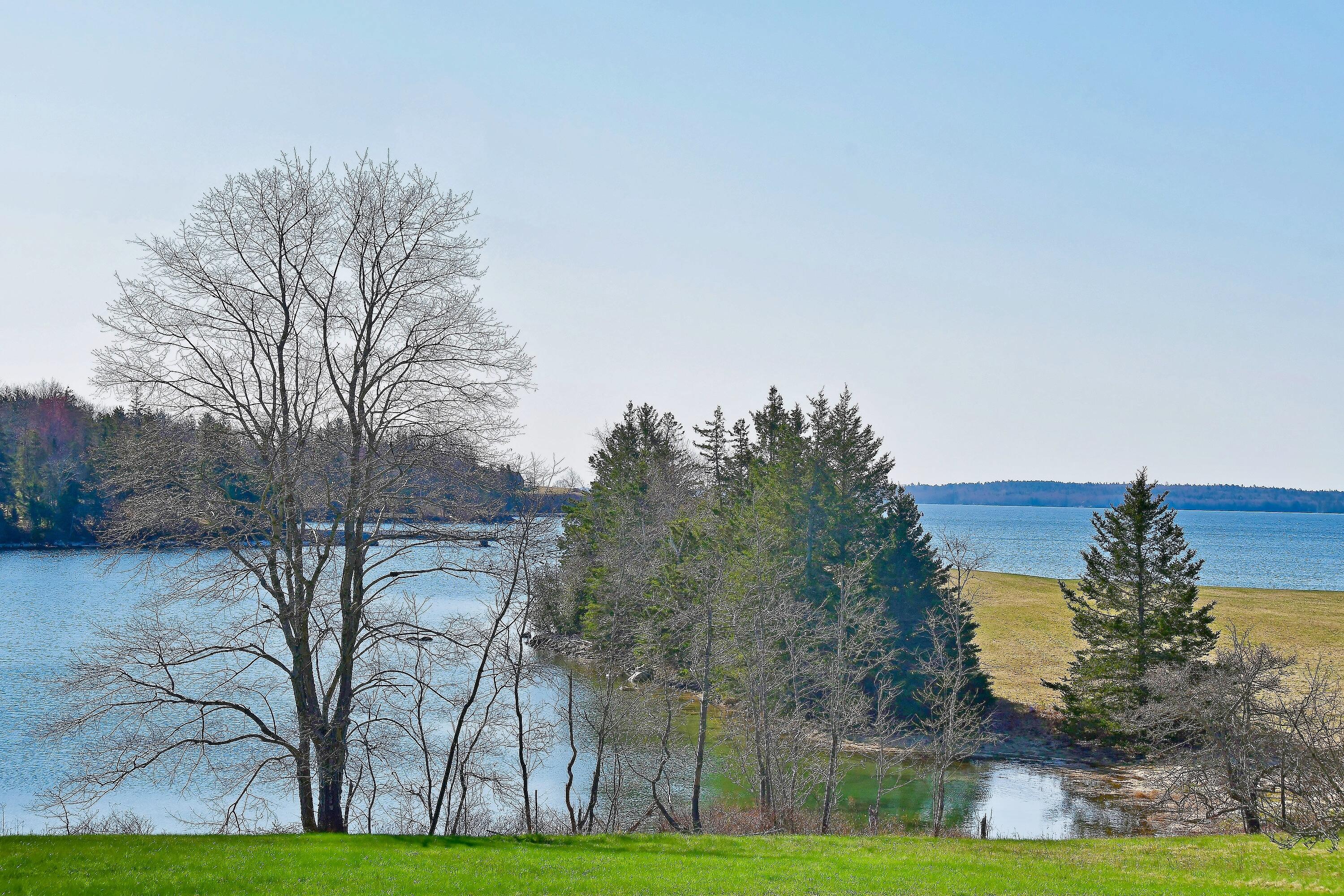144 Byards Point Road Sargentville, ME 04673 - Photo 12 of 31 adm_144ByardsPoint_2023_013