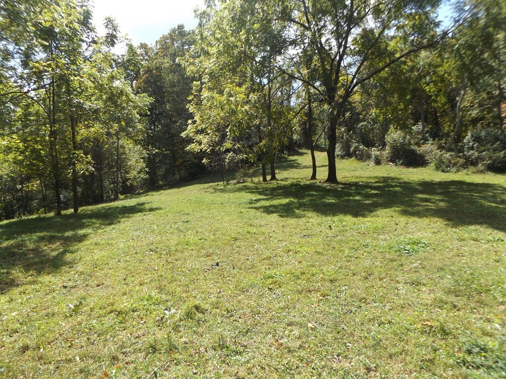 Tbd Dugspur Road, Unit 1 Dugspur, VA 24325 - Photo 13 of 16 Gallery Image 13