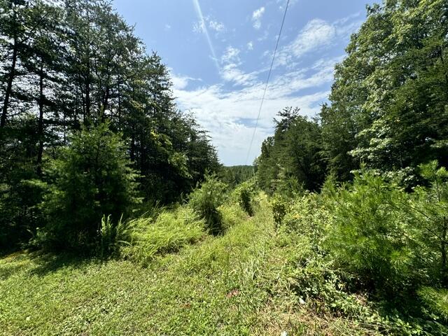 9000 Tar Ridge Road Rogers, KY 41365 - Photo 11 of 15 IMG_0461