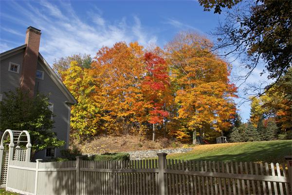 27 Bow Road Wayland, MA 01778 - Photo 26 of 30