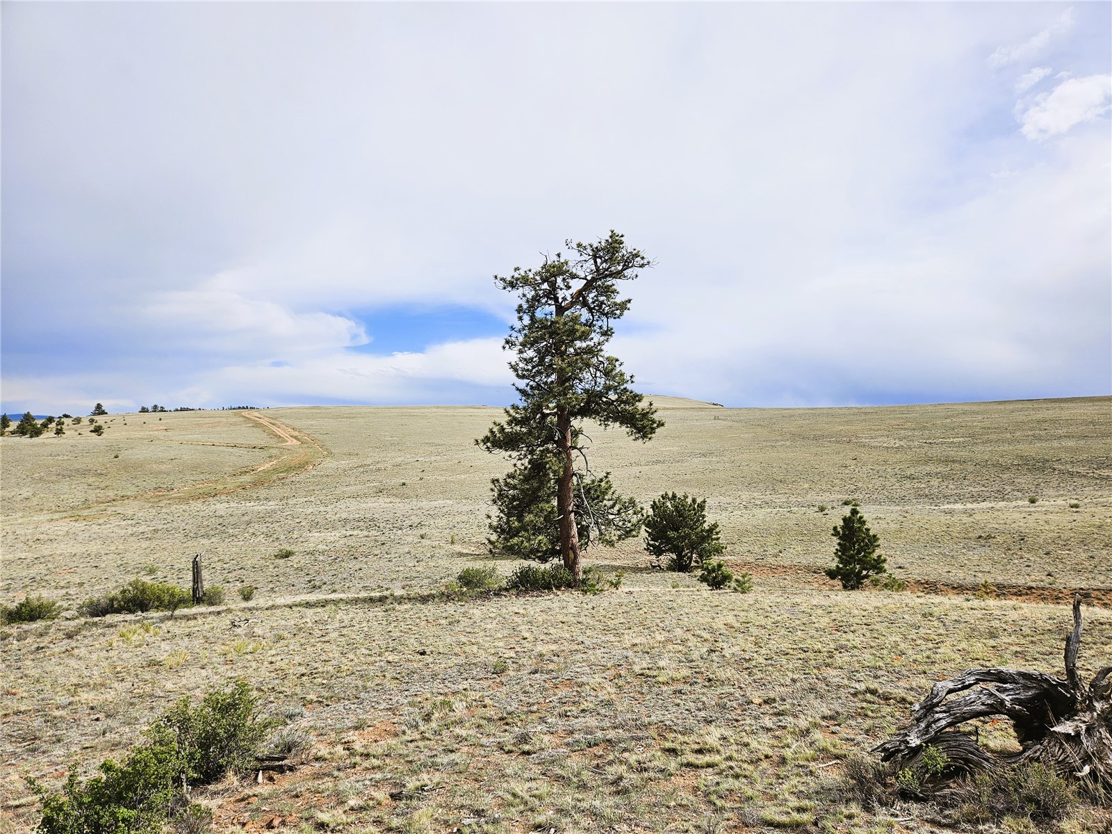 Pcs#24131 Chato Road Hartsel, CO 80449 - Photo 5 of 28