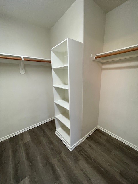 71 East Stedhill Loop Conroe, TX 77384 - Photo 10 of 10 a view of an empty walk in closet