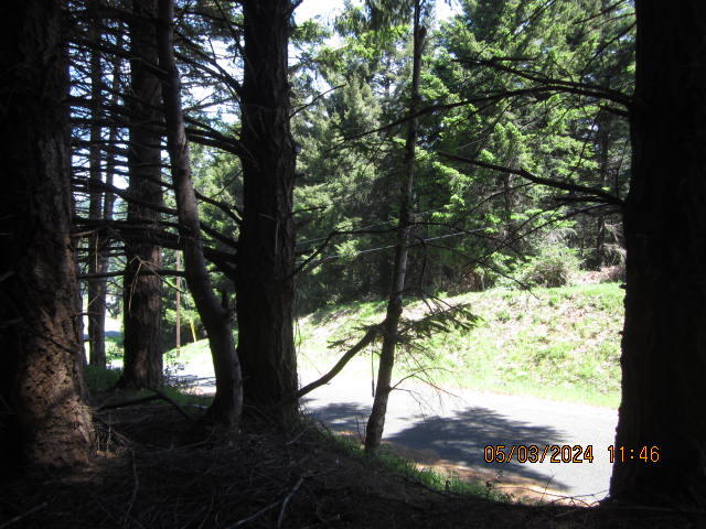 232 Nob Hill Road Shelter Cove, CA 95589 - Photo 18 of 20