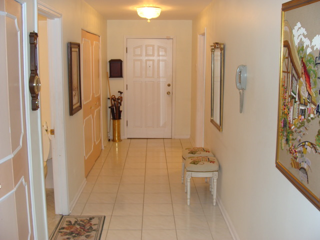 1009 Bonnie Brae, Unit 2A River Forest, IL 60305 - Photo 3 of 10