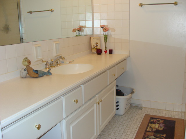 1009 Bonnie Brae, Unit 2A River Forest, IL 60305 - Photo 10 of 10