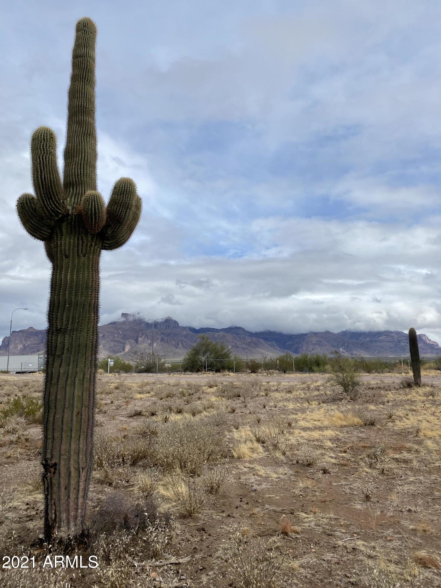 0 South Goldfield Road Apache Junction, AZ 85119 - Photo 5 of 7 IMG-7398