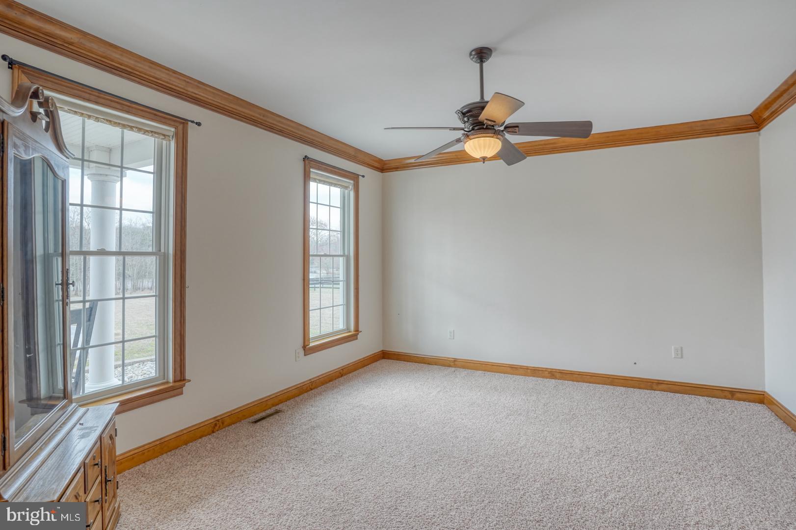 520 Mud Mill Road Marydel, DE 19964 - Photo 15 of 123