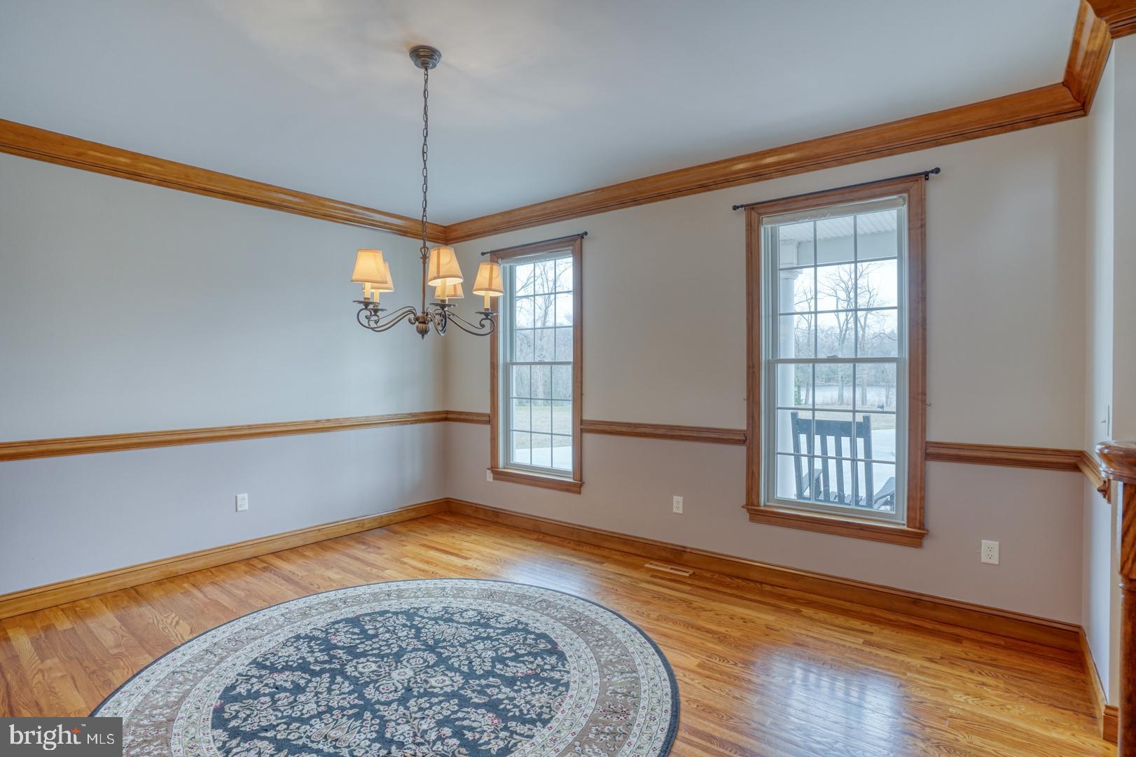 520 Mud Mill Road Marydel, DE 19964 - Photo 18 of 123