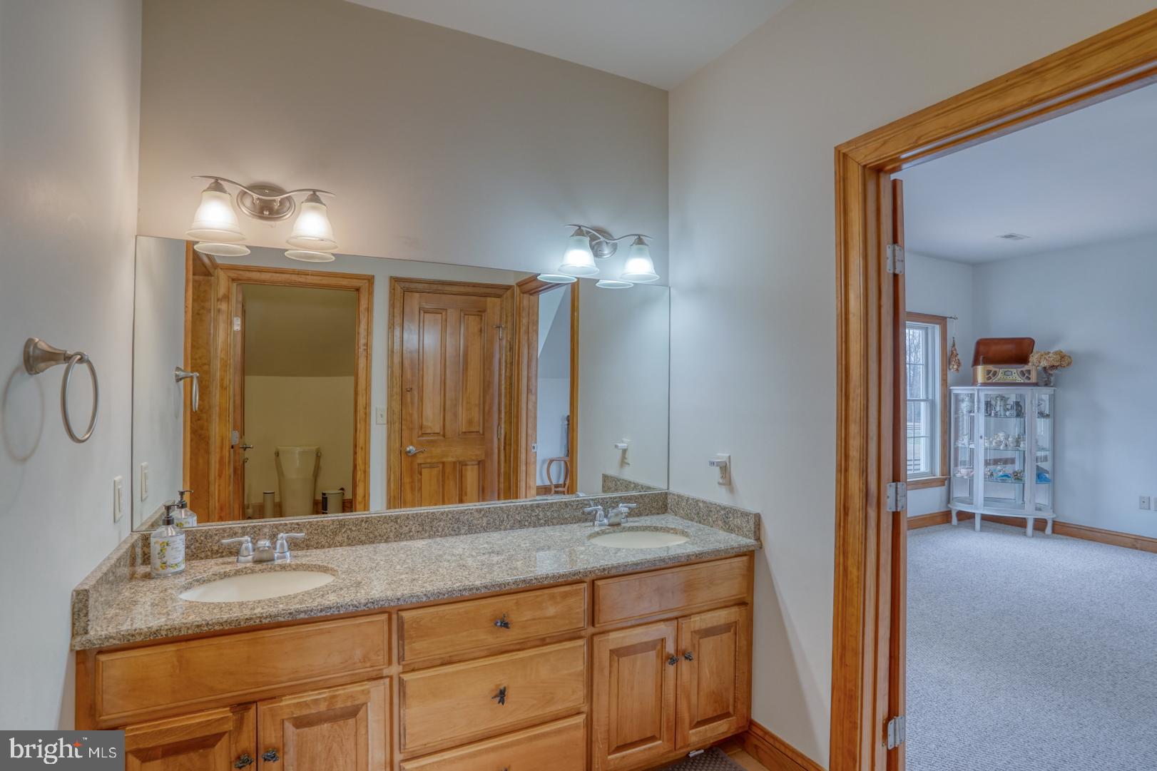 520 Mud Mill Road Marydel, DE 19964 - Photo 48 of 123