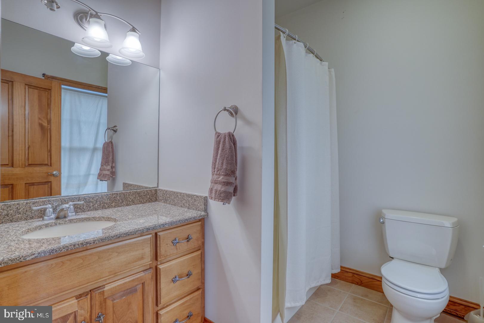 520 Mud Mill Road Marydel, DE 19964 - Photo 53 of 123 a bathroom with a granite countertop sink toilet and shower