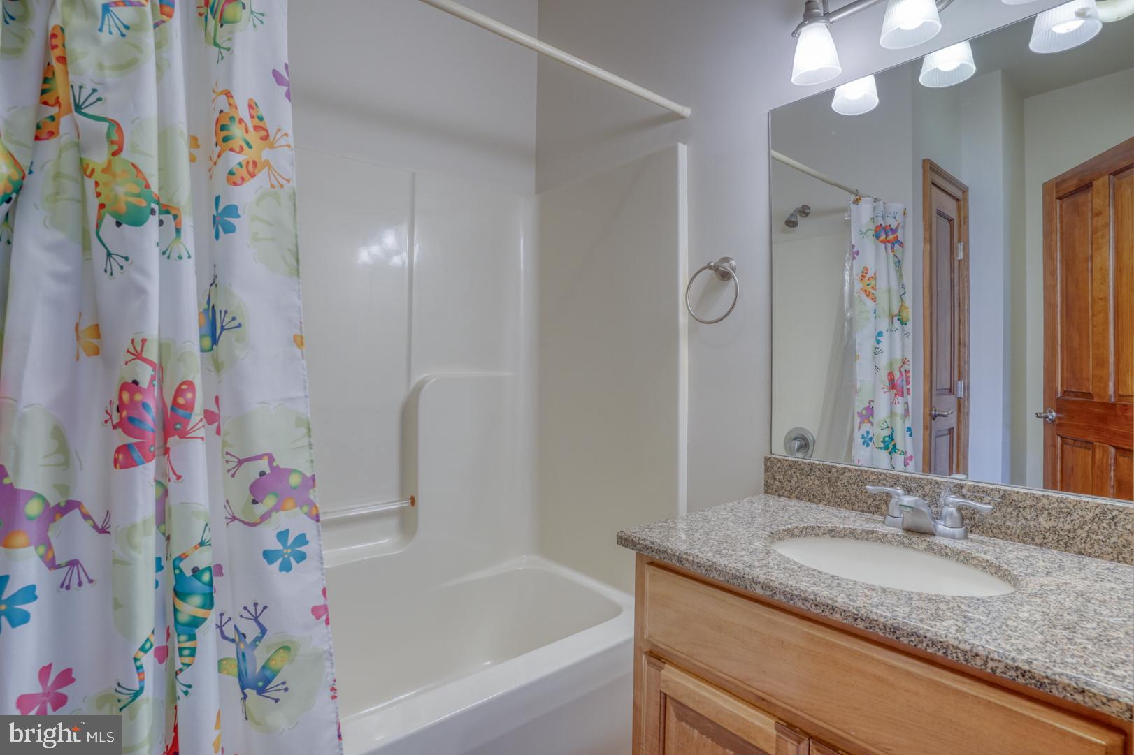 520 Mud Mill Road Marydel, DE 19964 - Photo 56 of 123 a bathroom with a granite countertop sink a vanity and a bathtub