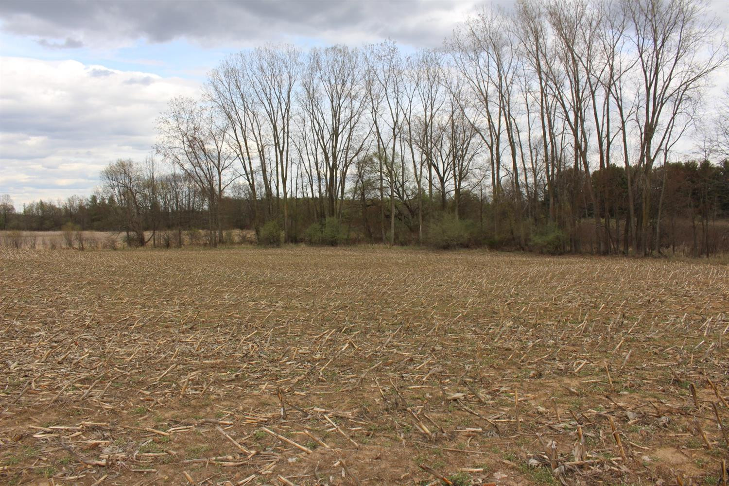 0 Greenwood Road, Unit A Jackson, MI 49201 - Photo 14 of 15 Photo 14