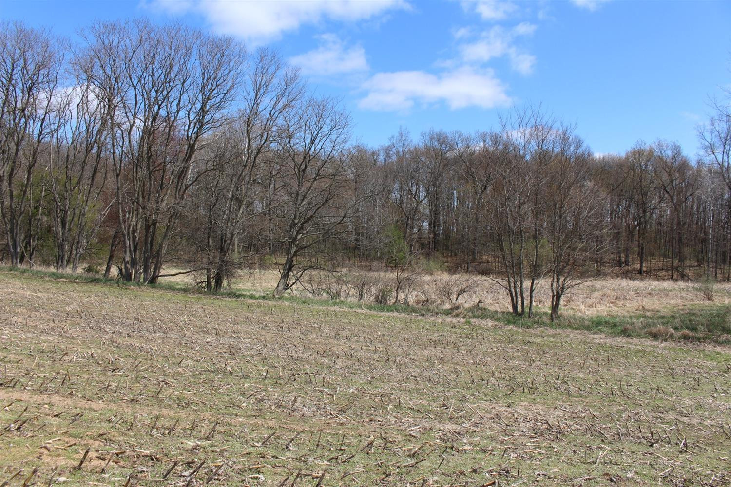 0 Greenwood Road, Unit A Jackson, MI 49201 - Photo 2 of 15 Photo 2