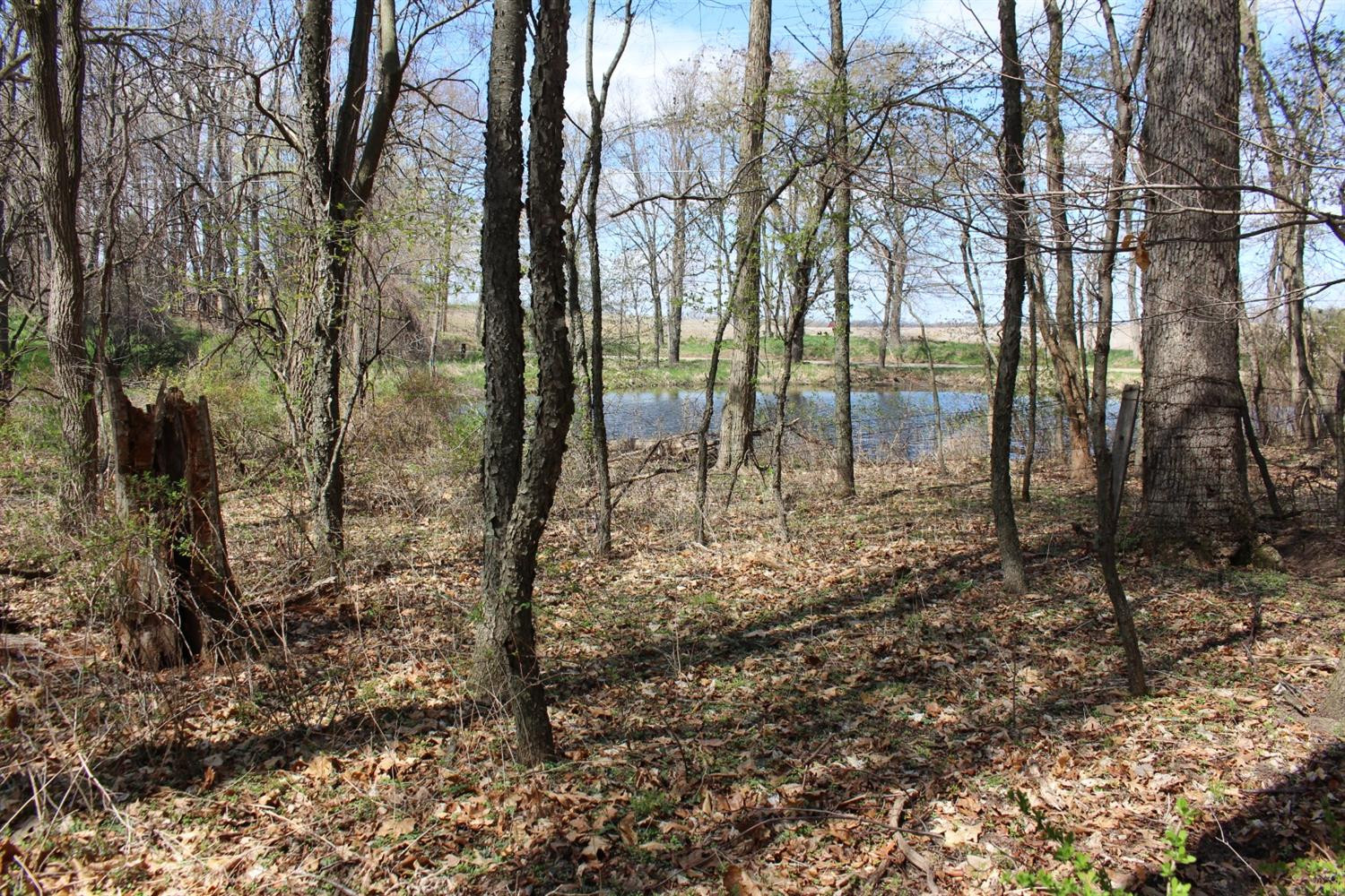 0 Greenwood Road, Unit A Jackson, MI 49201 - Photo 8 of 15 Photo 8