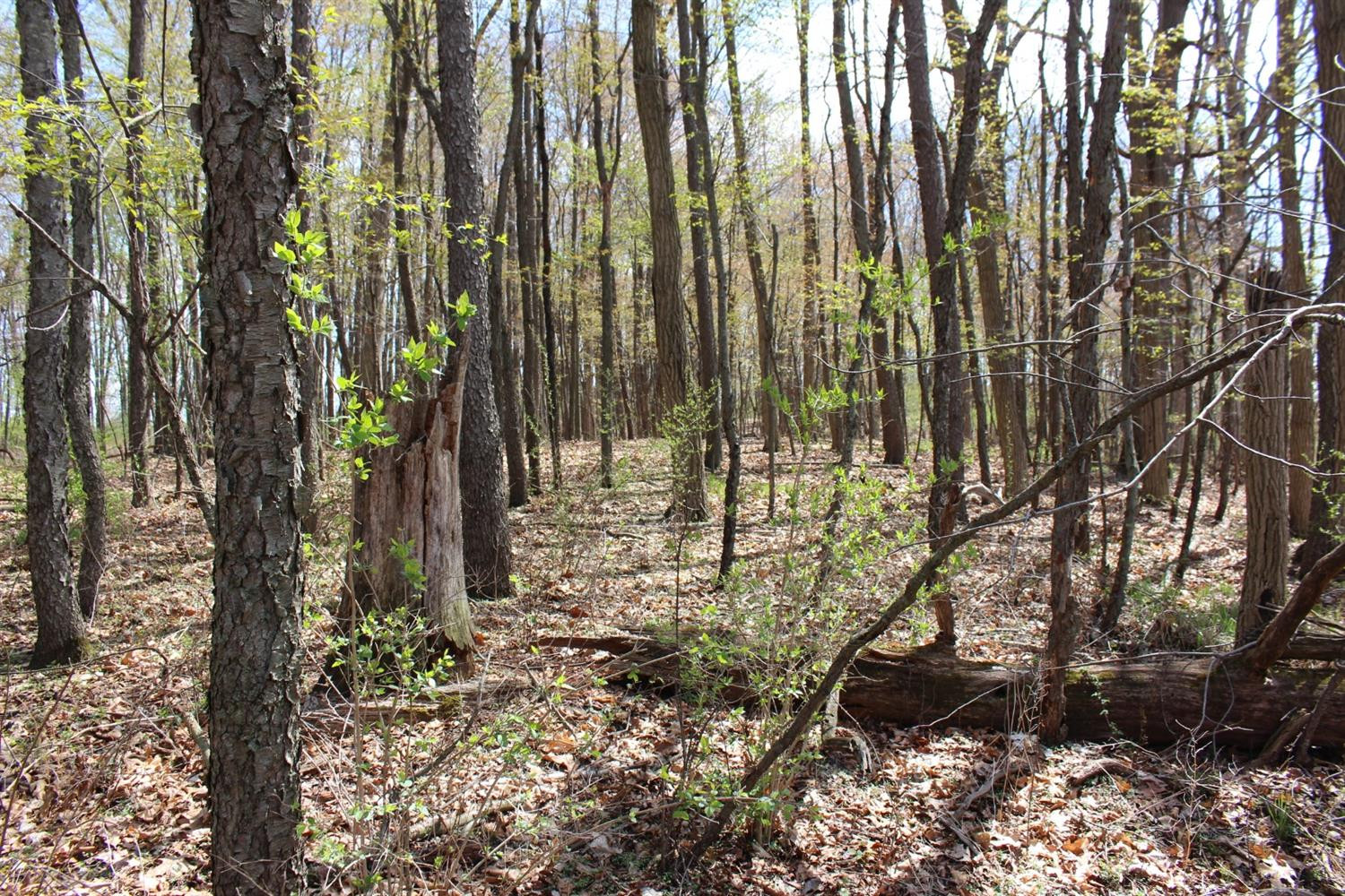 0 Greenwood Road, Unit A Jackson, MI 49201 - Photo 10 of 15 Photo 10