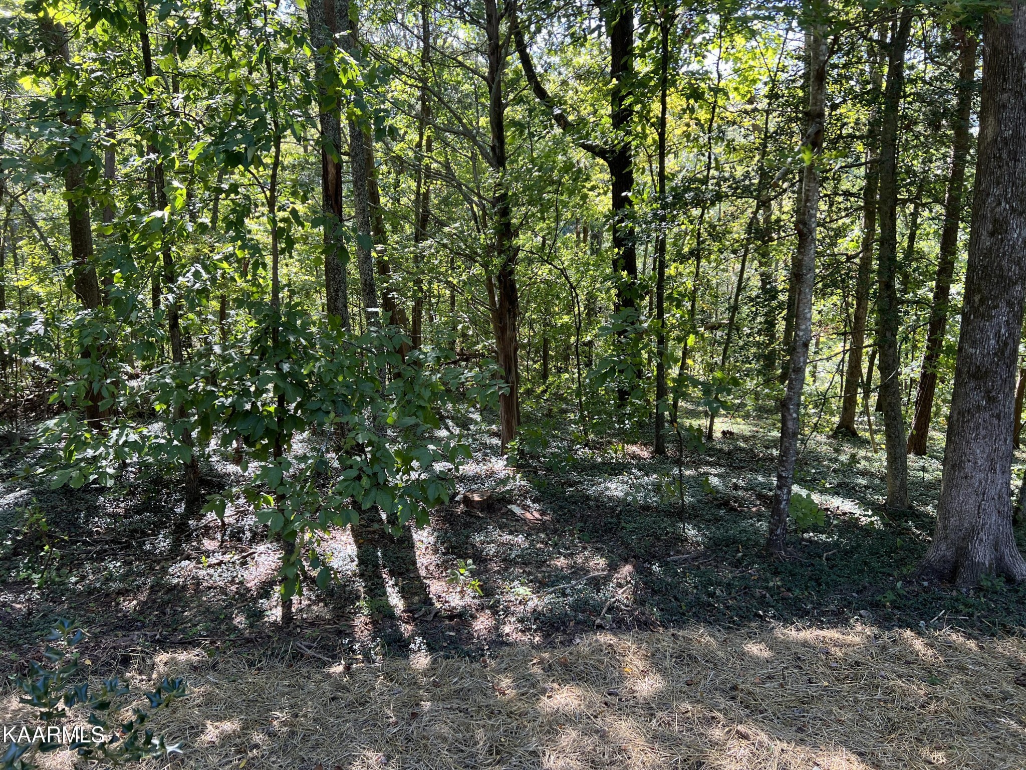 191 Farrs Road Kingston, TN 37763 - Photo 20 of 27 Gallery Image 20