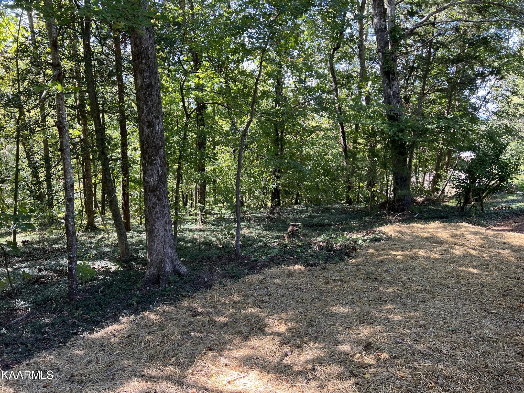 191 Farrs Road Kingston, TN 37763 - Photo 23 of 27 Gallery Image 23