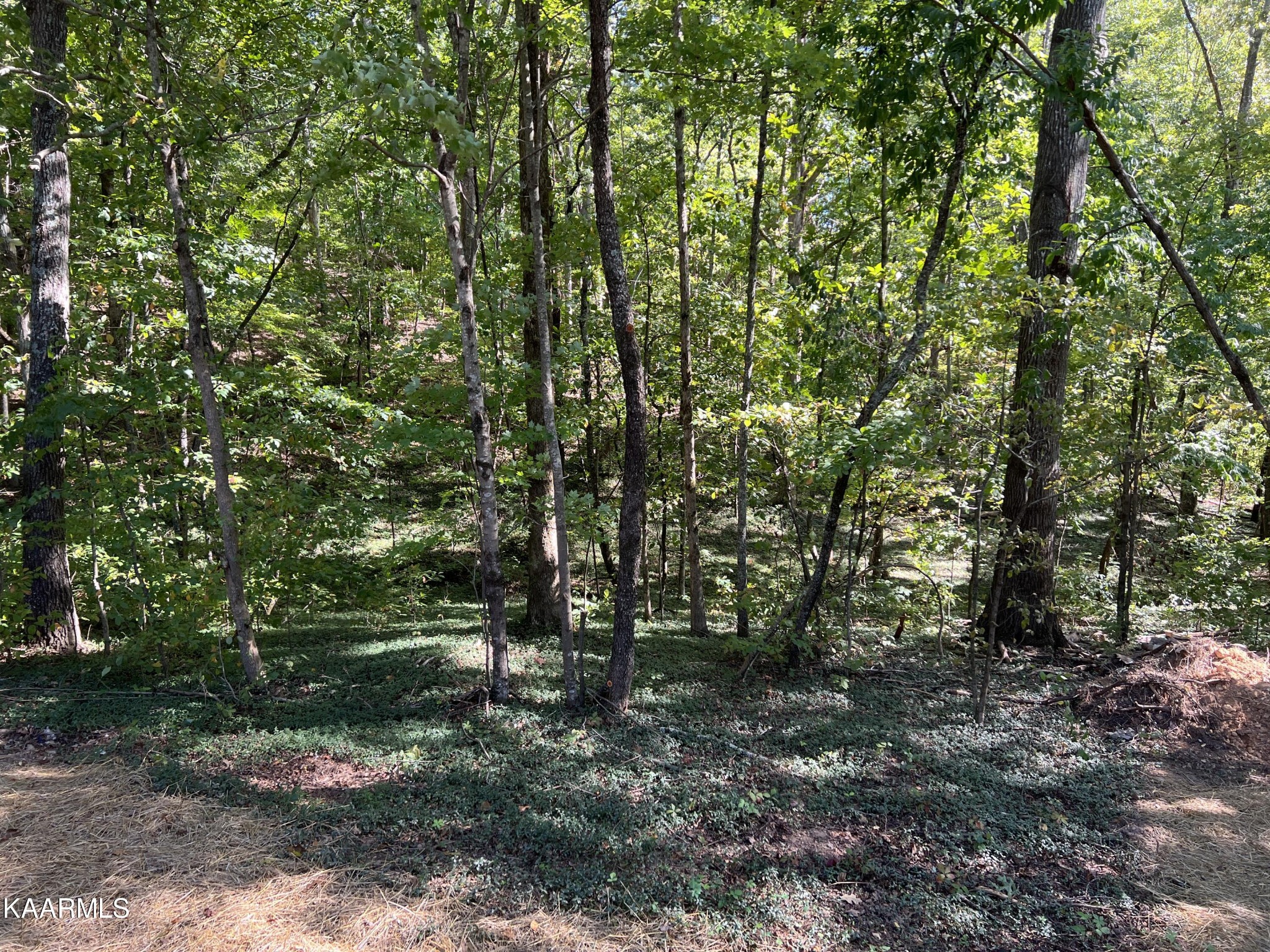 191 Farrs Road Kingston, TN 37763 - Photo 24 of 27 Gallery Image 24