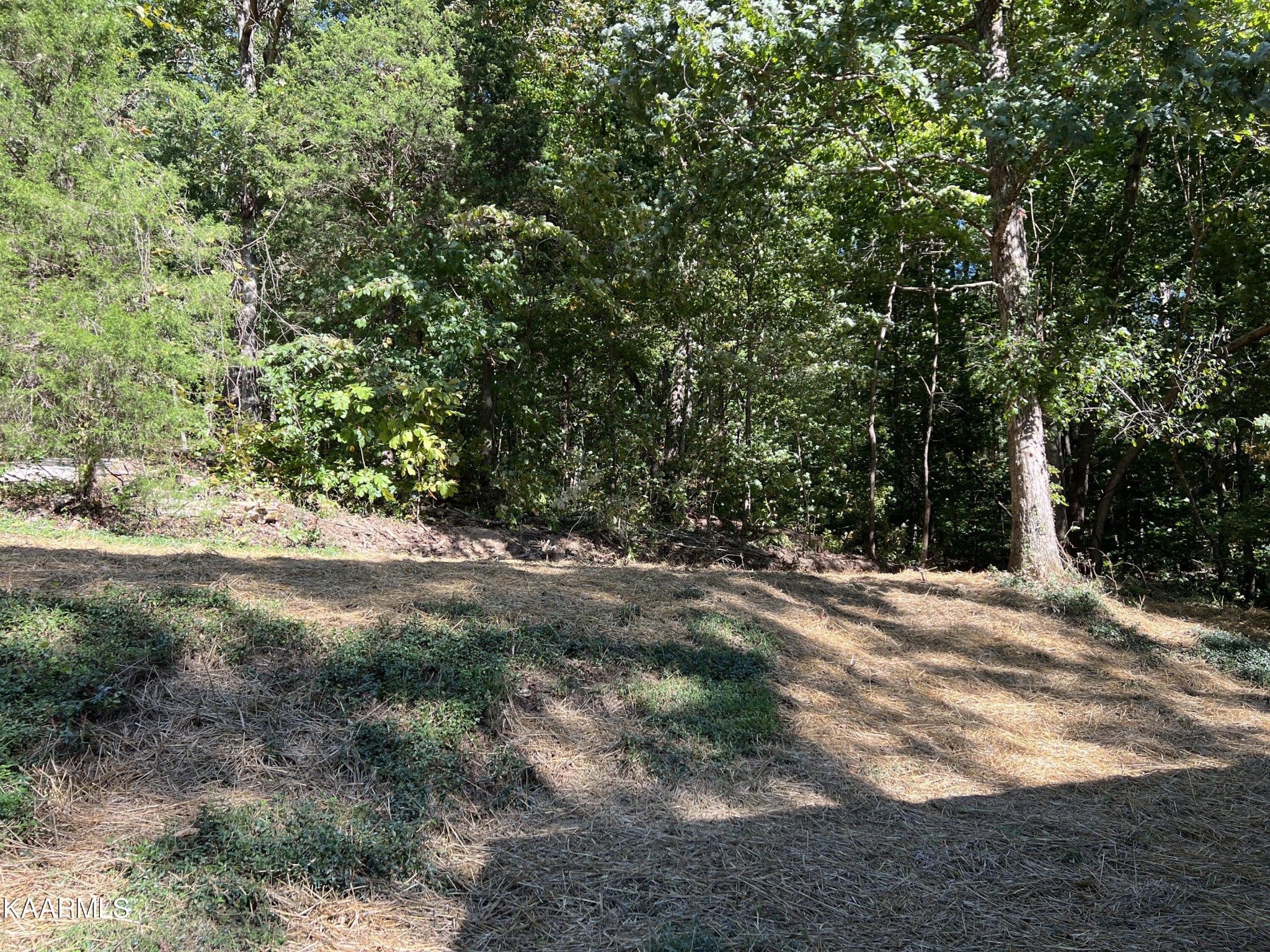 191 Farrs Road Kingston, TN 37763 - Photo 26 of 27 Gallery Image 26
