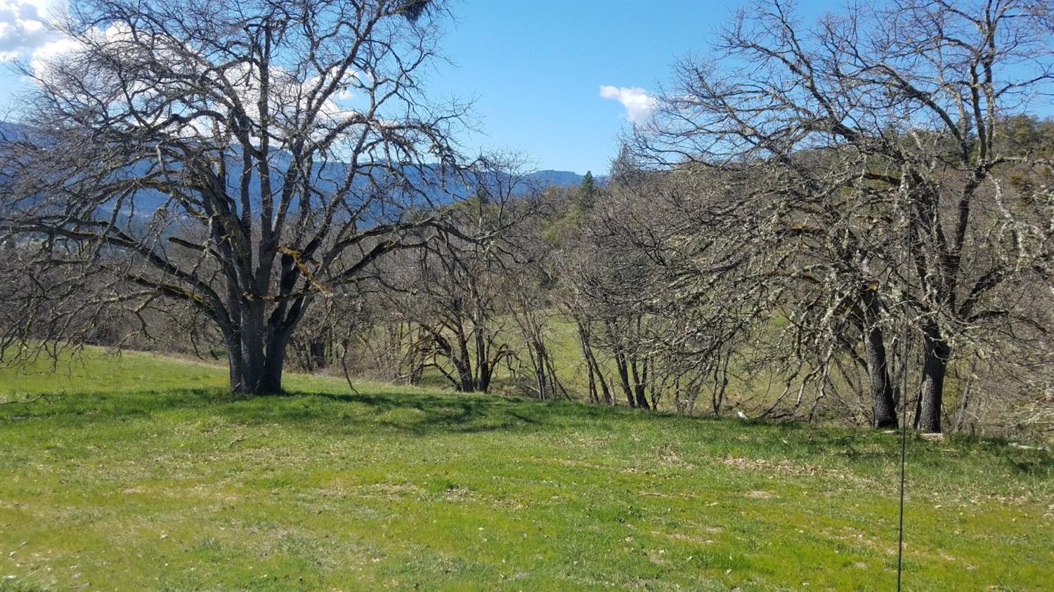1000 Browns Road Williams, OR 97544 - Photo 2 of 15 Additional Photo