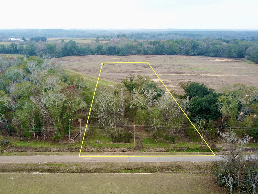 3161 Cedar Springs Road Ashford, AL 36312 - Photo 3 of 16