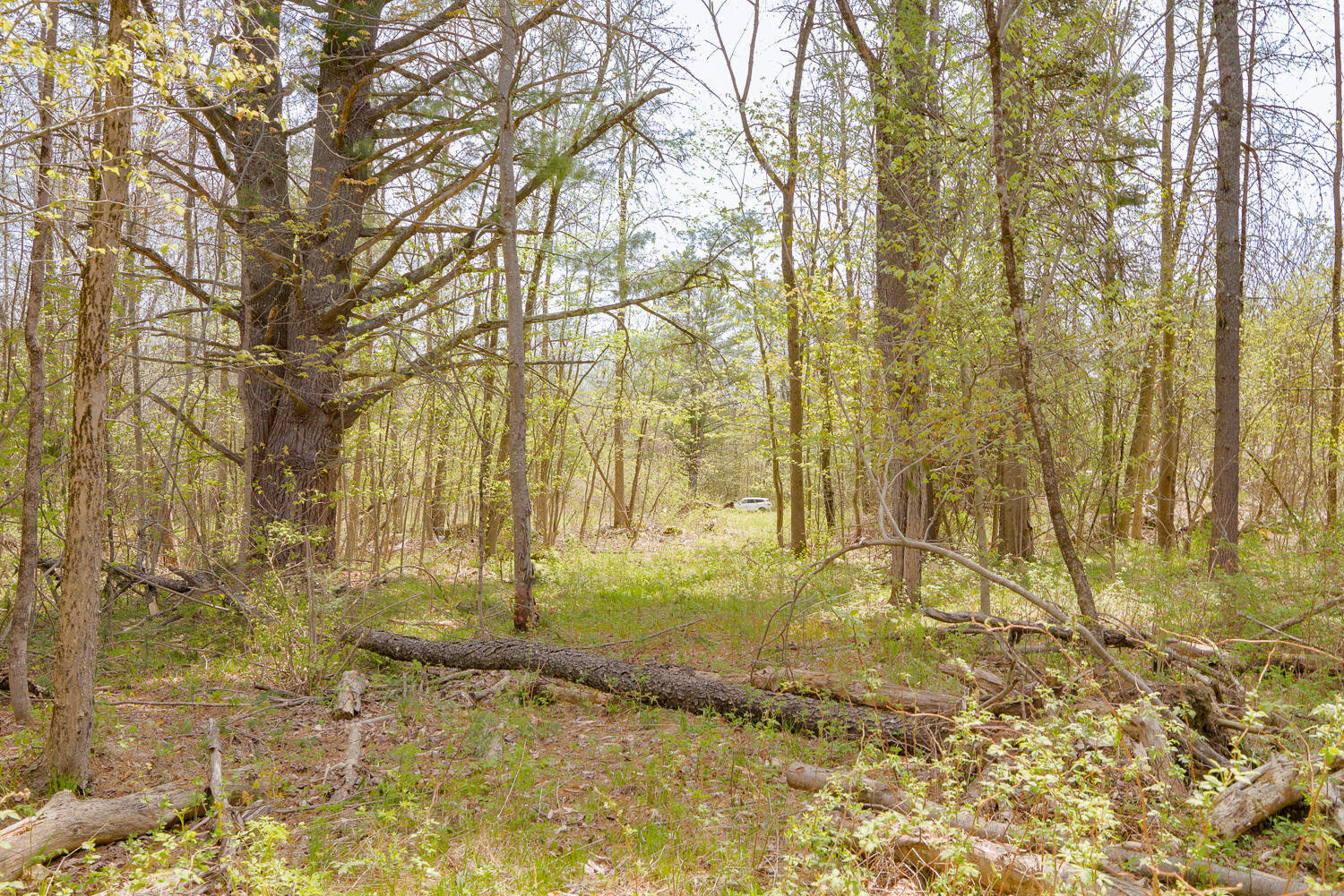 Lot 46-46a Bangor Road Clinton, ME 04927 - Photo 11 of 12 Land