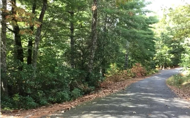 $24,500 | 18 Shelton Spgs Drive, Hayesville, NC 28904