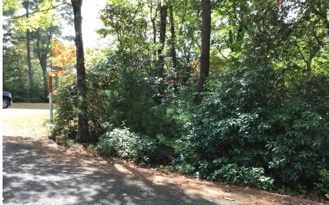 $24,500 | 18 Shelton Spgs Drive, Hayesville, NC 28904