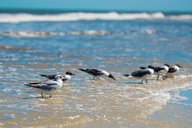 $489,000 | 1733 Sea Fair Drive, Unit 14259, St. Augustine, FL 32080