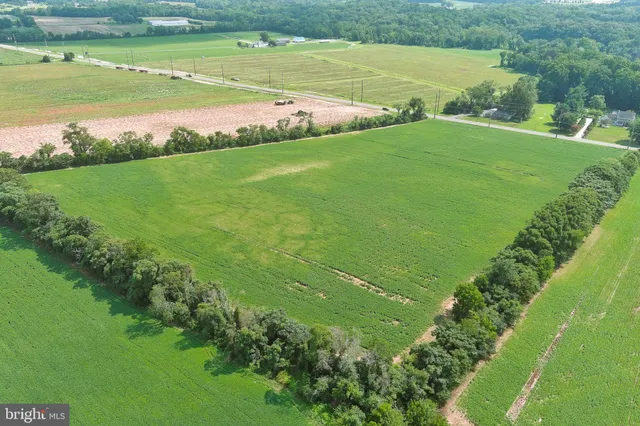 a view of a field with an ocean